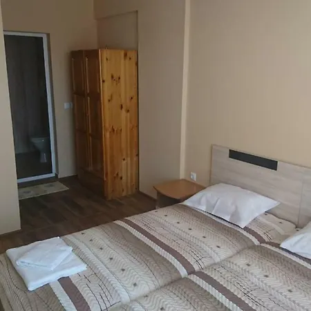 Guest house Radenkovi *