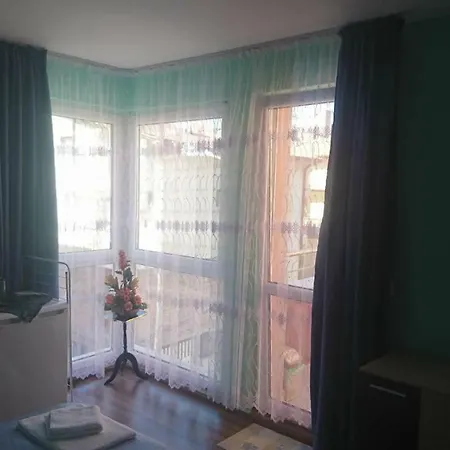 Guest house Radenkovi *