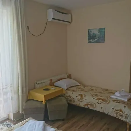 Guest house Radenkovi *