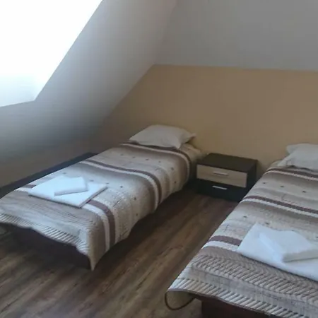 Guest house Radenkovi *