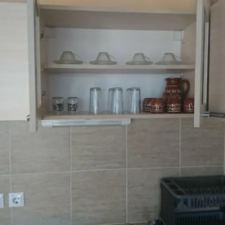 Guest house Radenkovi *